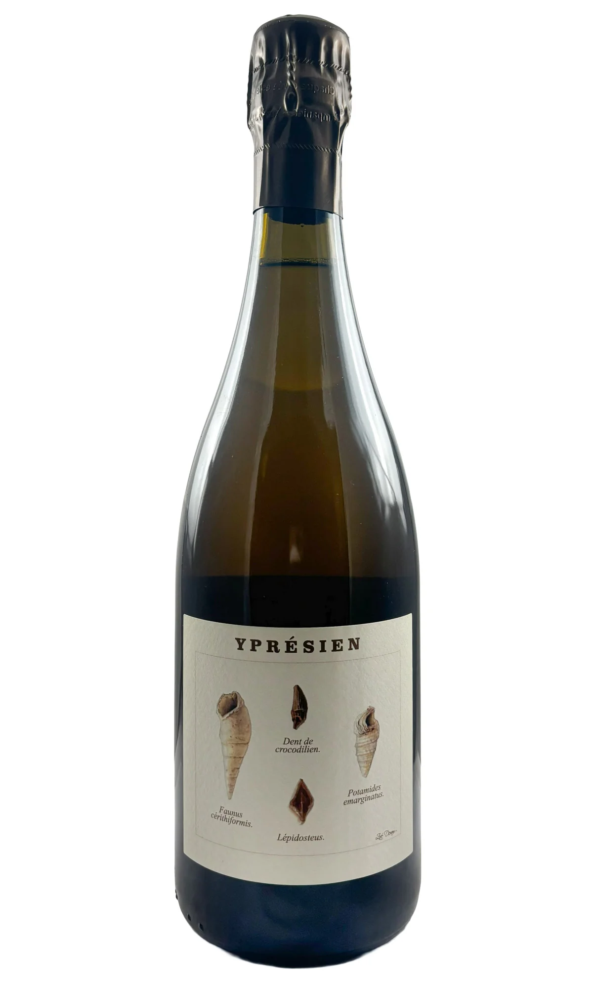 Legrand-Latour, Champagne Ypresien Brut Nature [2021] , NV