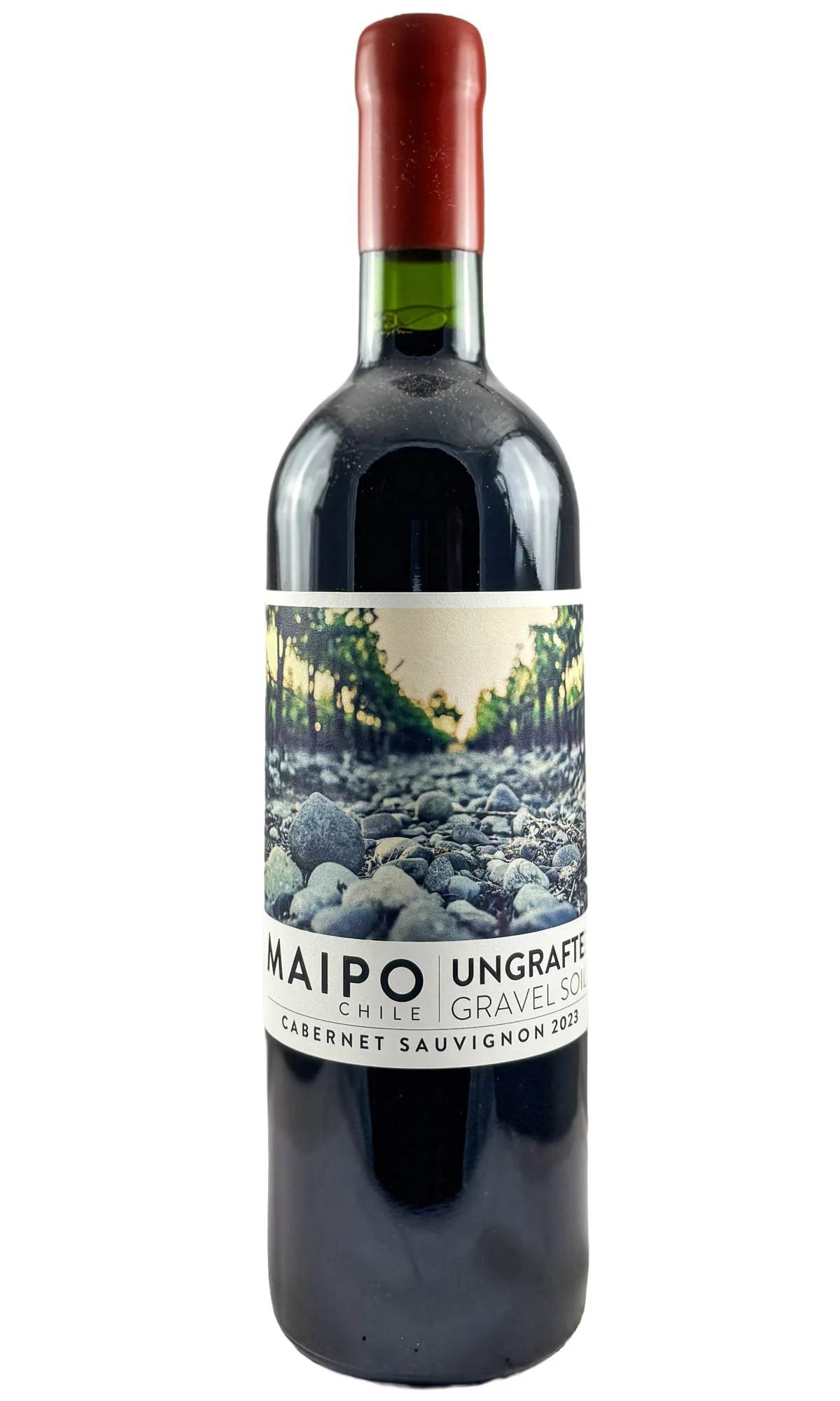 Ungrafted, Valle del Maipo Cabernet Sauvignon, 2023